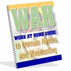 Work At Home Domain Names and Webhosting Guide image