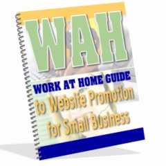 Work At Home Guide to Website Promotion for Small Business image