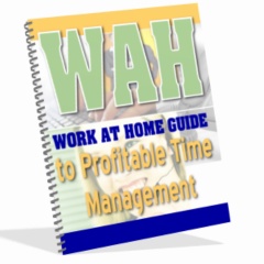 Work At Home Guide to Profitable Time Management image